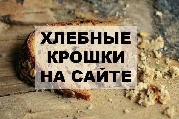 Хлебные крошки: пища не для птиц
