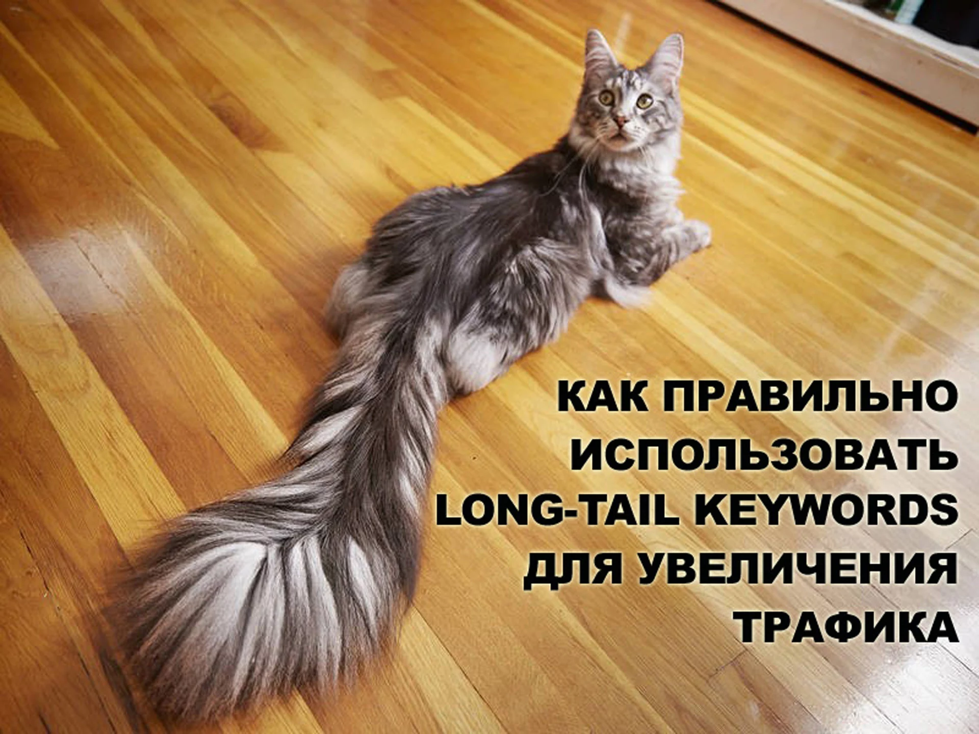 Как подобрать правильные long-tail keywords