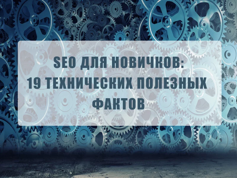 SEO для новичков: 19 технических фактов