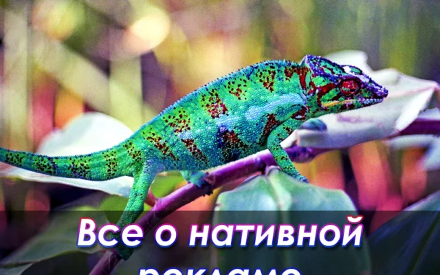 Нативная реклама: основные характеристики и преимущества