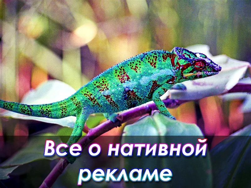 Нативная реклама: основные характеристики и преимущества