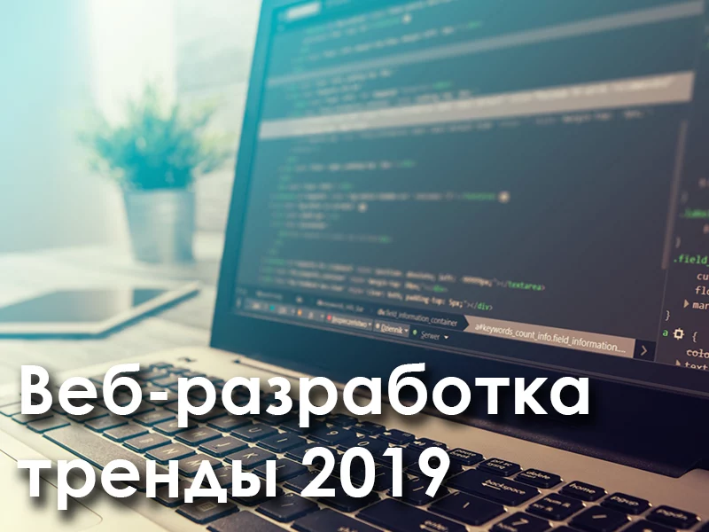 8 популярных направлений веб-разработки в 2019 году