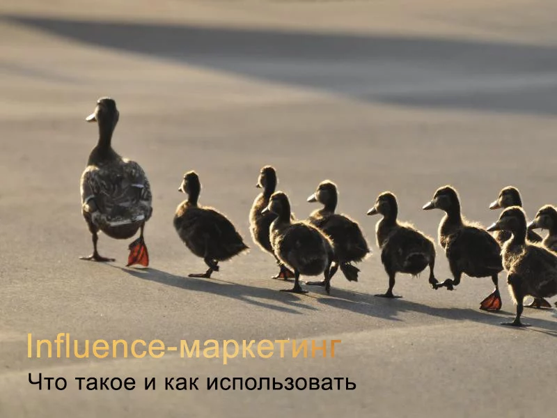 Что такое influence-маркетинг и как его использовать