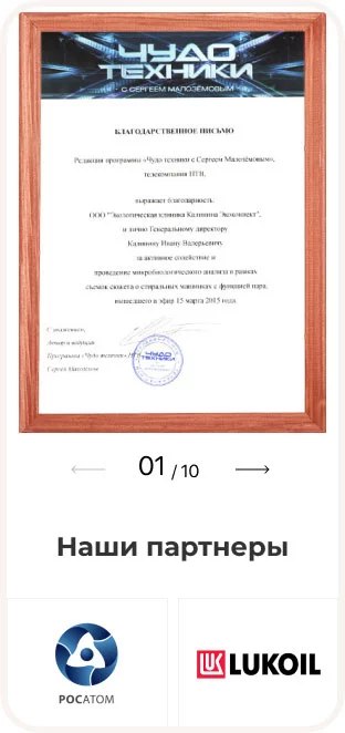 Экоконнект — сайт экологической клиники Ивана Калинина