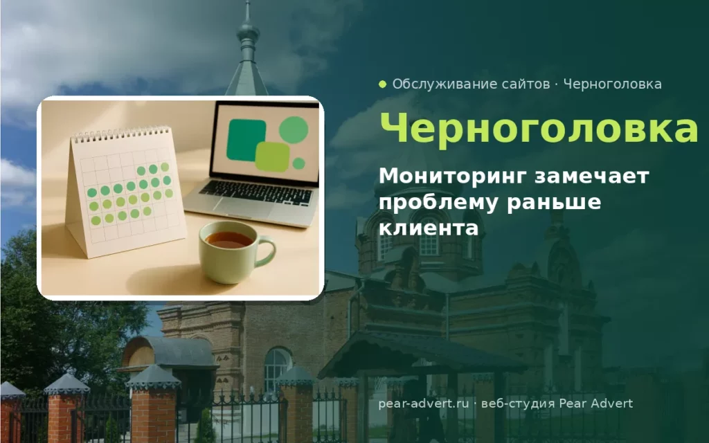 Мониторинг замечает проблему раньше клиента — обслуживание сайтов в Черноголовке