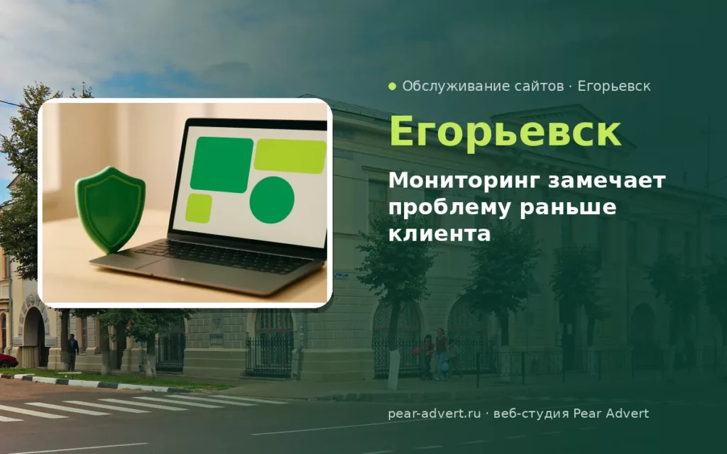 Мониторинг замечает проблему раньше клиента — обслуживание сайтов в Егорьевске