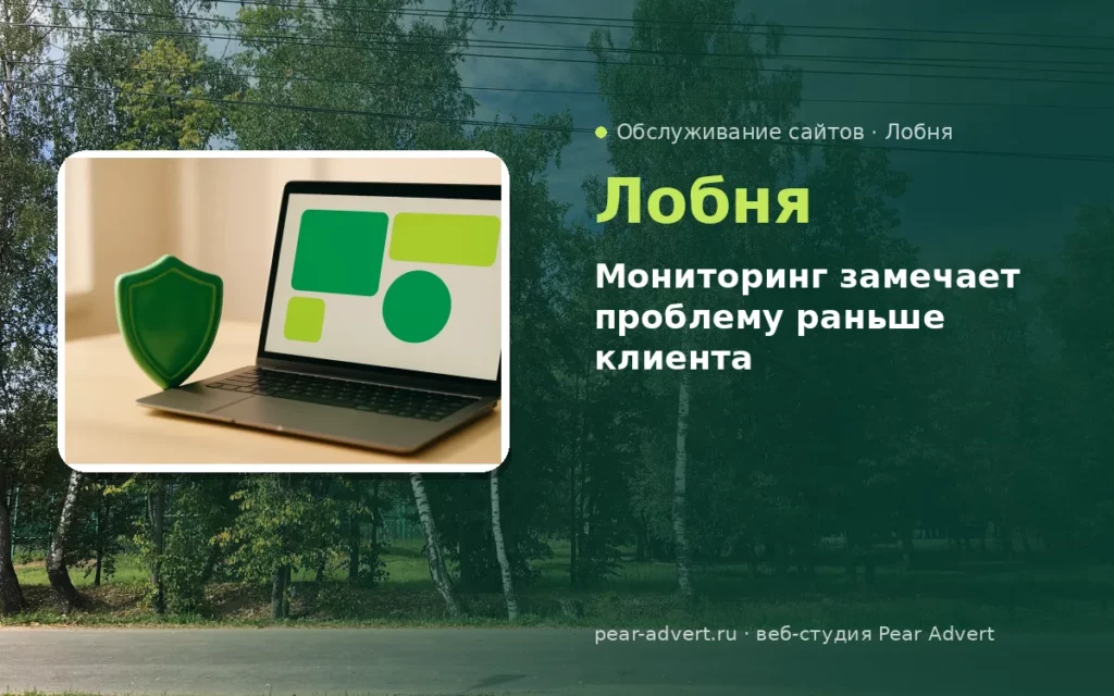 Мониторинг замечает проблему раньше клиента — обслуживание сайтов в Лобне