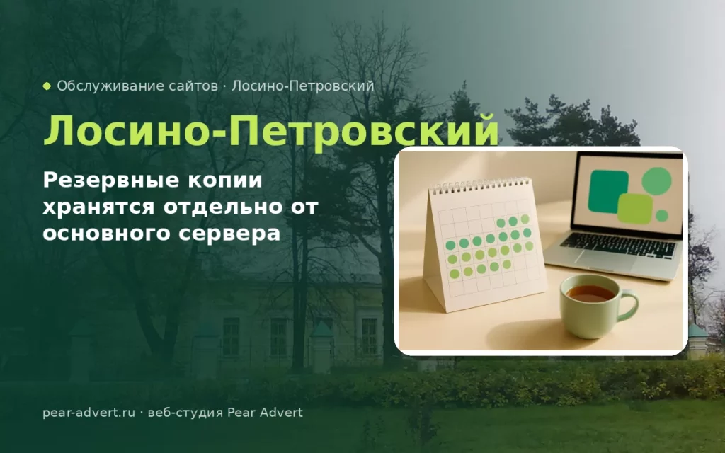 Резервные копии хранятся отдельно от основного сервера — обслуживание сайтов в Лосино-Петровском