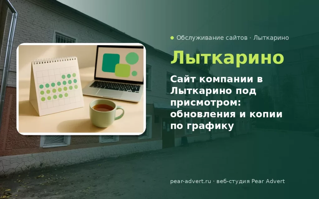 Сайт компании в Лыткарино под присмотром: обновления и копии по графику — обслуживание сайтов в Лыткарино