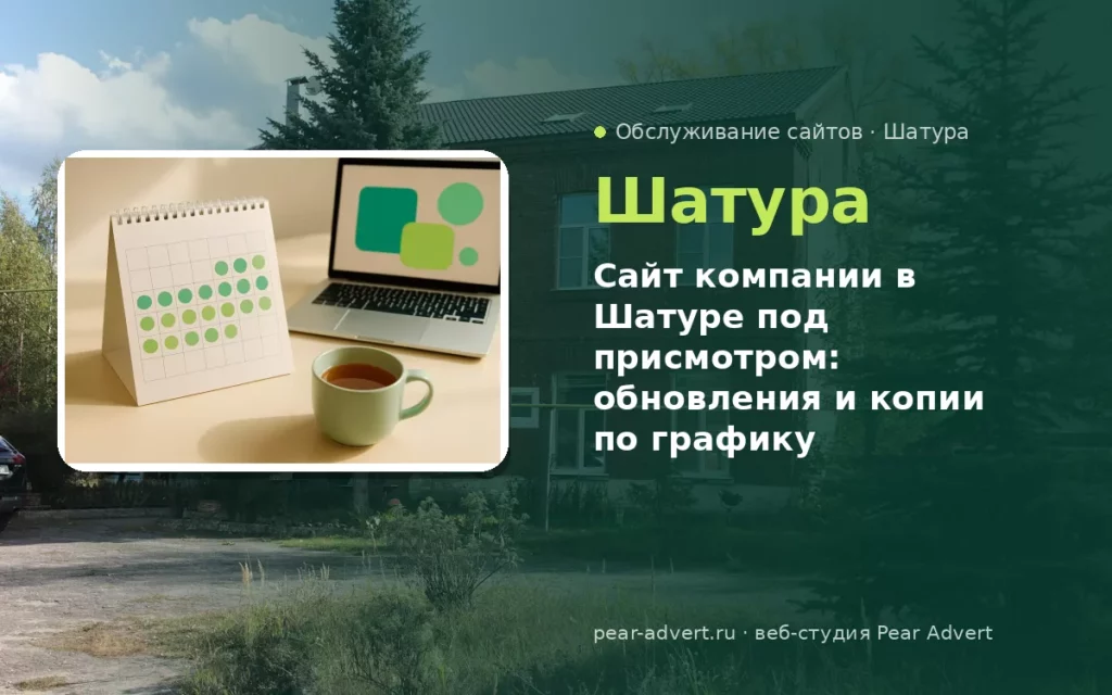 Сайт компании в Шатуре под присмотром: обновления и копии по графику — обслуживание сайтов в Шатуре