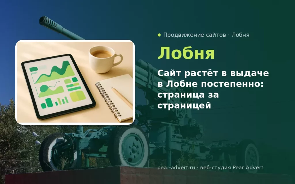 Сайт растёт в выдаче в Лобне постепенно: страница за страницей — продвижение сайтов в Лобне