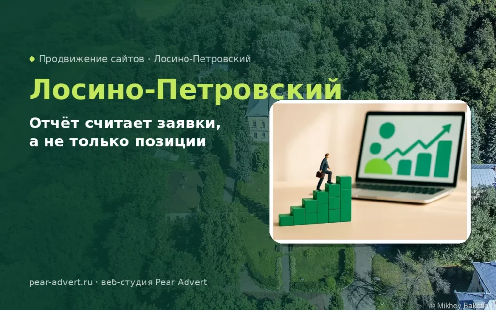 Отчёт считает заявки, а не только позиции — продвижение сайтов в Лосино-Петровском