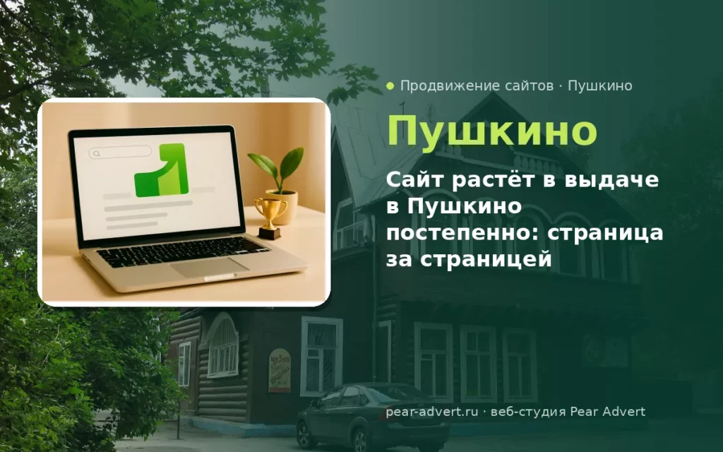 Сайт растёт в выдаче в Пушкино постепенно: страница за страницей — продвижение сайтов в Пушкино