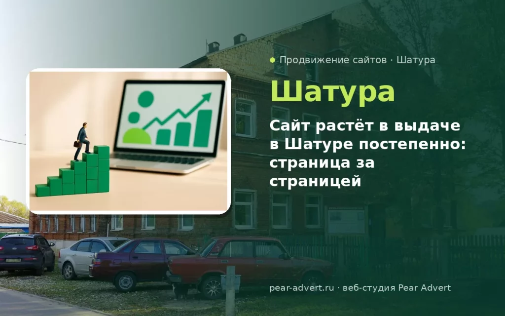 Сайт растёт в выдаче в Шатуре постепенно: страница за страницей — продвижение сайтов в Шатуре