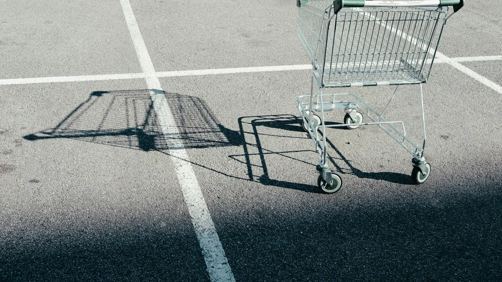 Защита интернет-магазина на OpenCart: что сделать после установки